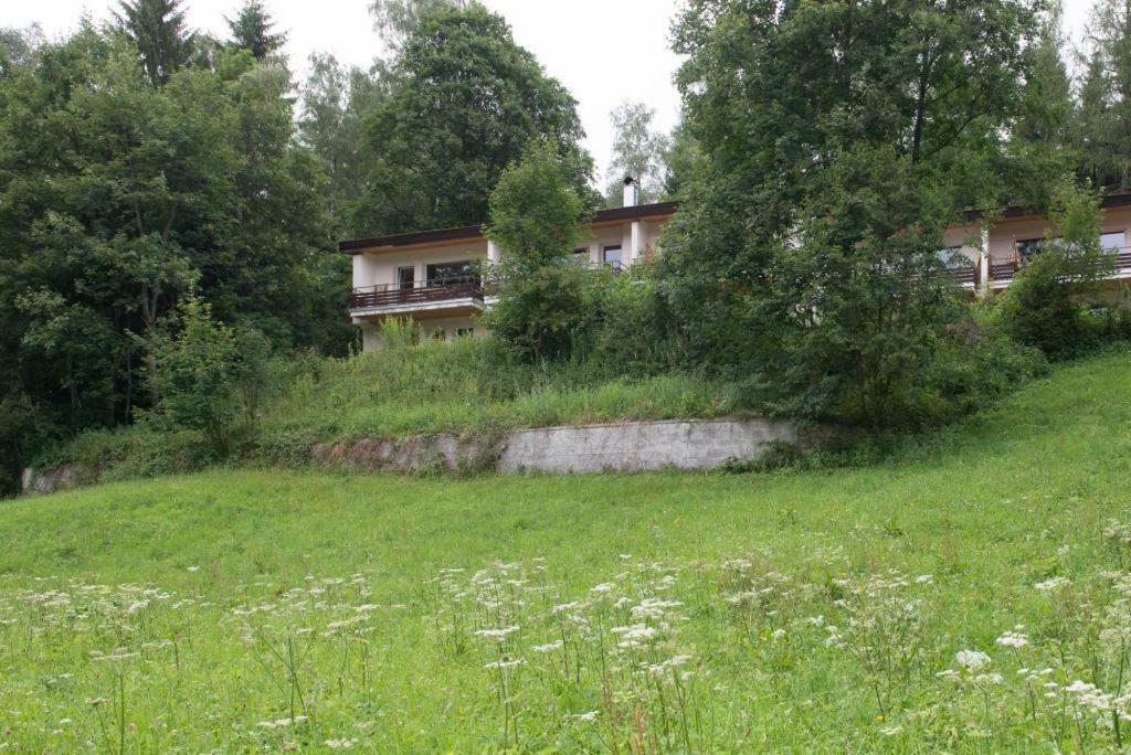 Birkenhof - Schimek Apartment Bürserberg Exterior foto